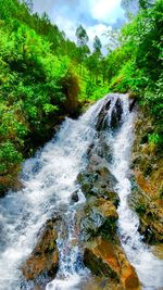 Scenic view of waterfall in forest