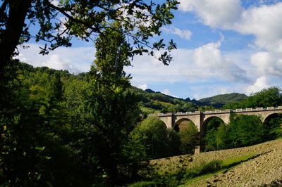 Arch bridge amidst trees against sky