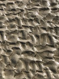 Full frame shot of wet sand