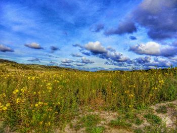 Scenic view of field against cloudy sky