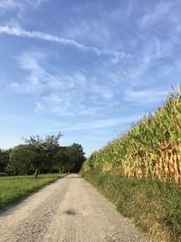 Road amidst field against sky