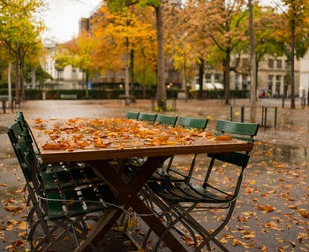 Table and chairs in park during autumn