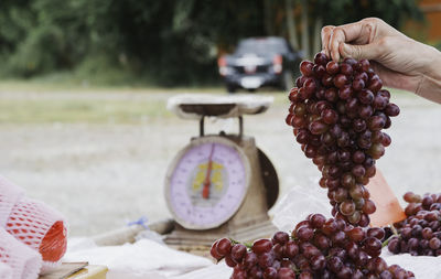 Close-up of hand holding grapes