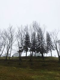 Bare trees on field against clear sky