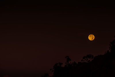 Low angle view of silhouette trees against sky at night