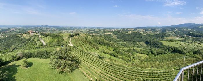 Scenic view of agricultural landscape against sky