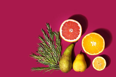 Close-up of orange fruit against colored background