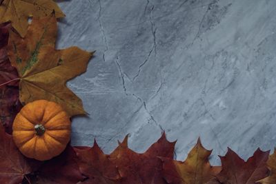 Directly above shot of maple leaves during autumn