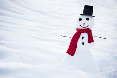 Close-up of snowman during winter