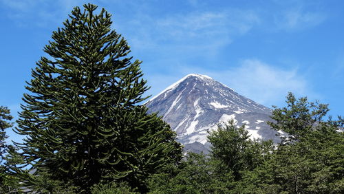 Low angle view of mountain against blue sky