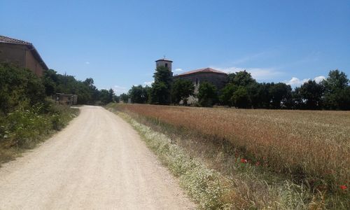 View of road along trees