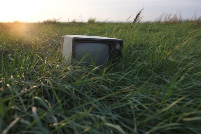 View of grassy field against sky