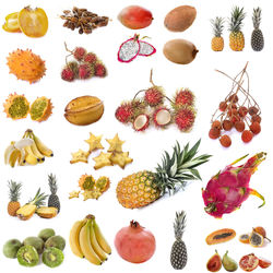 Directly above shot of fruits against white background