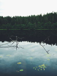 Reflection of trees in lake against clear sky