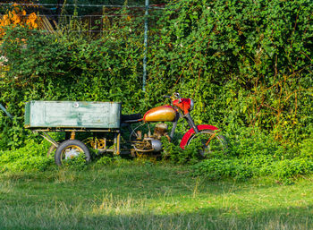 Tractor and plants on field
