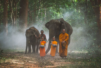 People standing in forest