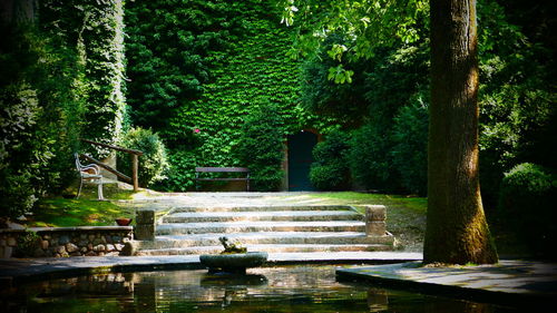 Fountain against trees