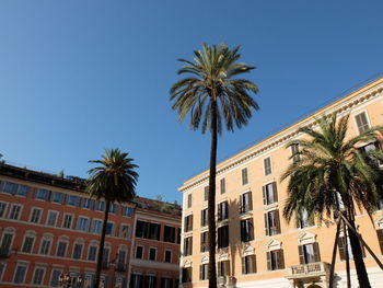 Low angle view of palm trees and buildings against blue sky