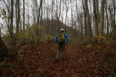 Rear view of man standing in forest