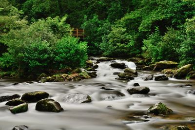 Scenic view of waterfall