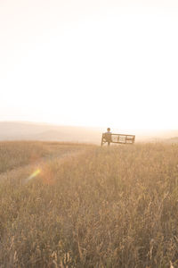 Silhouette of man sitting on bench