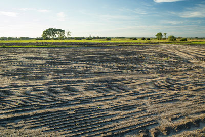 Ploughed field, traces of machines in the ground, summer rural view