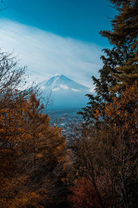 Scenic view of trees against sky during autumn