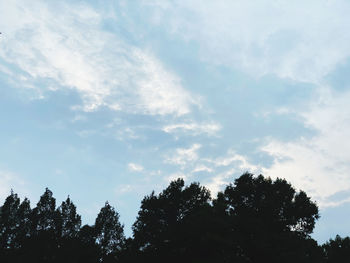 Low angle view of trees against sky