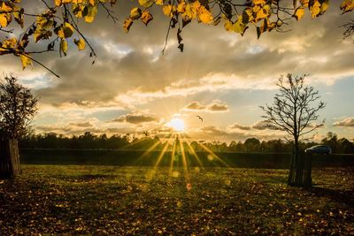 Scenic view of landscape against sky during sunset