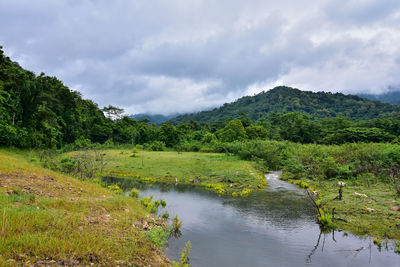 Scenic view of landscape against sky