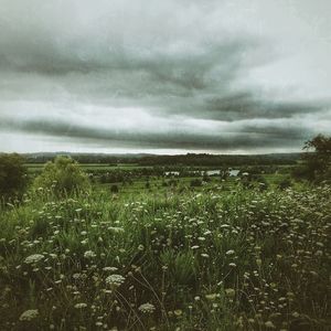 Scenic view of field against cloudy sky