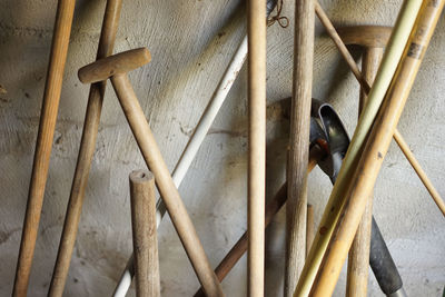 Close-up of tree stump