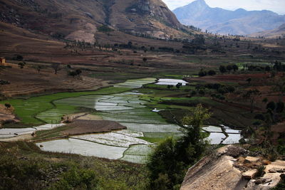 High angle view of agricultural field