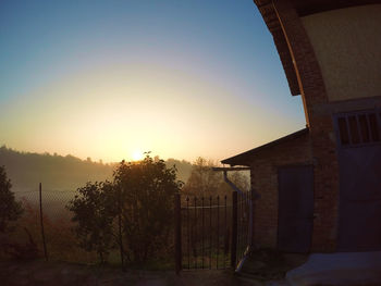 Trees against clear sky during sunset