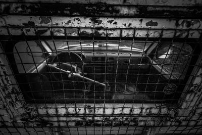 Close-up of bird in cage