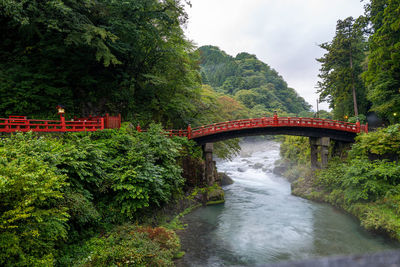 Bridge over river in forest