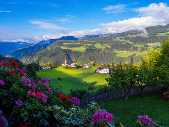 Scenic view of green landscape against sky