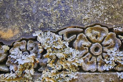 Full frame shot of stone