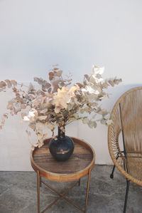 Potted plant on table against wall at home