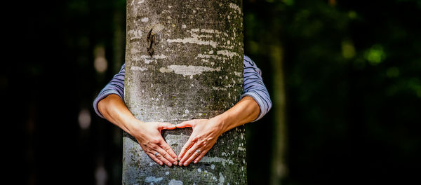 Cropped hands of woman hugging tree outdoors