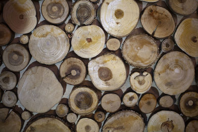 Wooden texture built from logs cuts. rows of sawn tree bitches. simple background. abstract image.