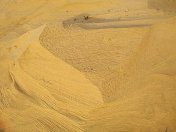 Full frame shot of wood on land