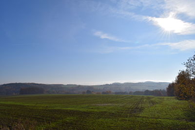 Scenic view of field against sky