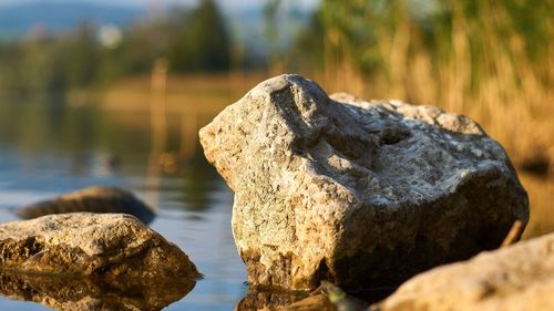 Close-up of rock in lake