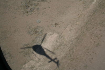 High angle view of shadow on sand at beach