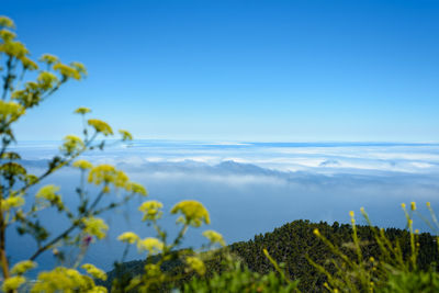 Scenic view of landscape against blue sky