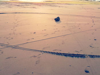 High angle view of man walking on beach