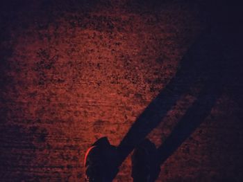 Low section of man standing on red rock