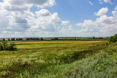 Scenic view of agricultural field against sky