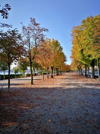 Trees by footpath against sky during autumn